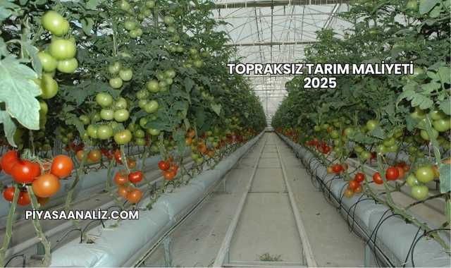 Topraksız Tarım Maliyeti 2025