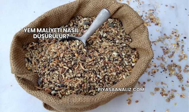 Yem Maliyeti Nasıl Düşürülür?