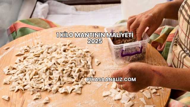 1 Kilo Mantının Maliyeti 2025