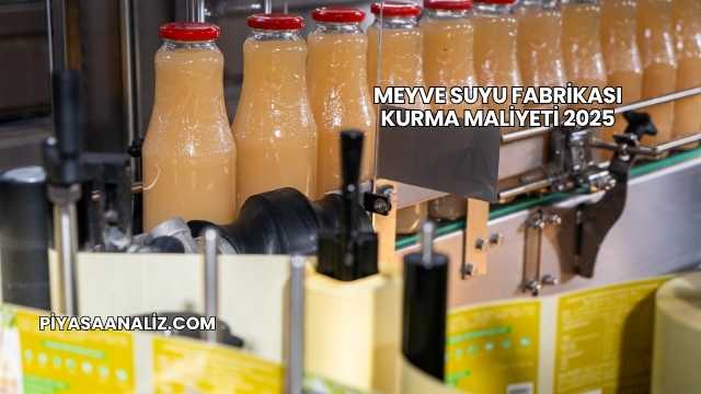 Meyve Suyu Fabrikası Kurma Maliyeti 2025