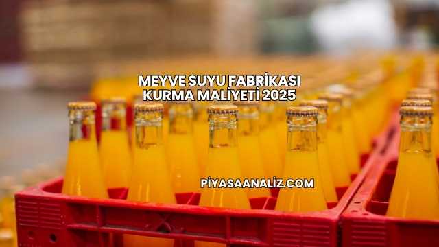 Meyve Suyu Fabrikası Kurma Maliyeti 2025