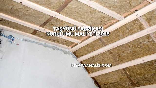 Taşyünü Fabrikası Kurulumu Maliyeti 2025