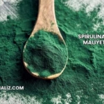 Spirulina Üretim Maliyeti 2025