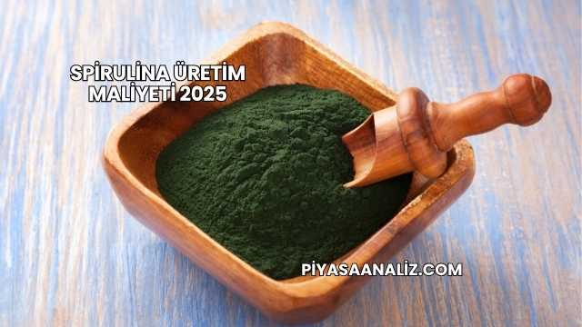Spirulina Üretim Maliyeti 2025